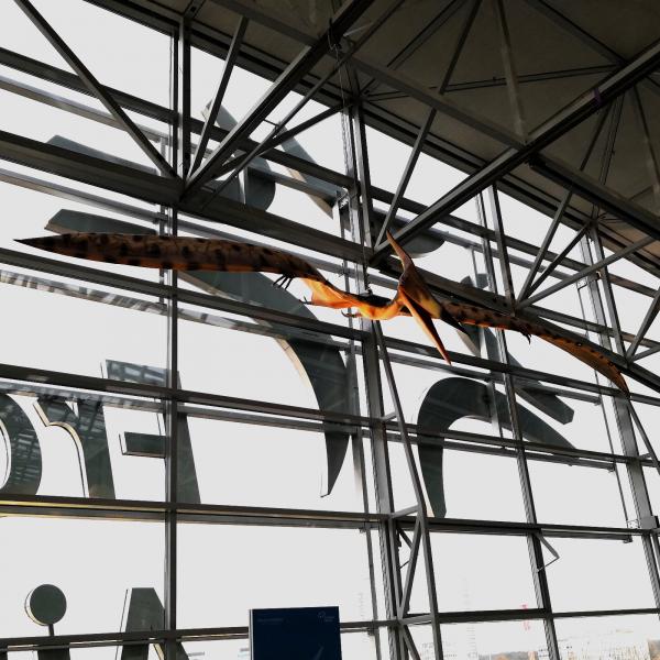 Fraport Day 1